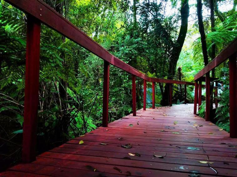Deck1920 - Bangalôs Área Rural - Cascavel Cascavel  Extérieur photo
